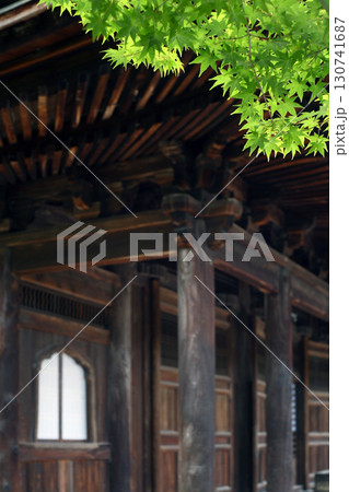 寺院本堂と青もみじ 130741687