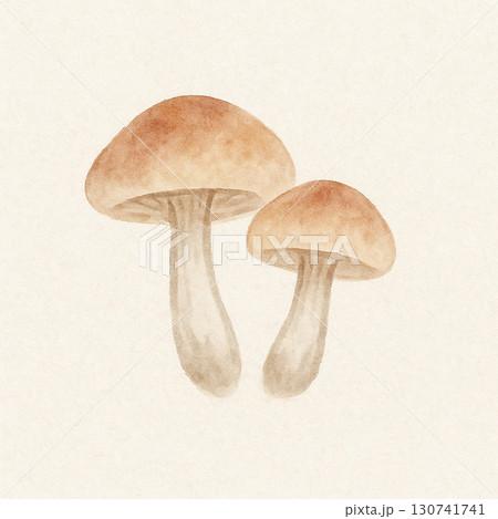 きのこシリーズ:水彩タッチの双子きのこワンポイント きのこシリーズ:水彩タッチの双子きのこワンポイント 130741741