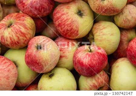 Organic red apples as pattern and food background. Farmers Market. View from above. Autumn harvest for sale. Organic red apples as pattern and food background. Farmers Market. View from above. Autumn harvest for sale. 130742147