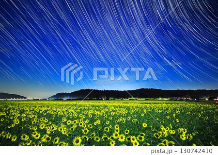 ひまわり畑と星の軌跡 130742410