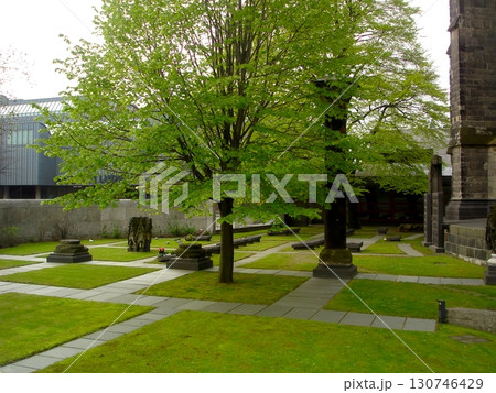 Stunning Square Garden Beside the Cologne Cathedral Showcasing Lush Greenery and Serene Pathways 130746429