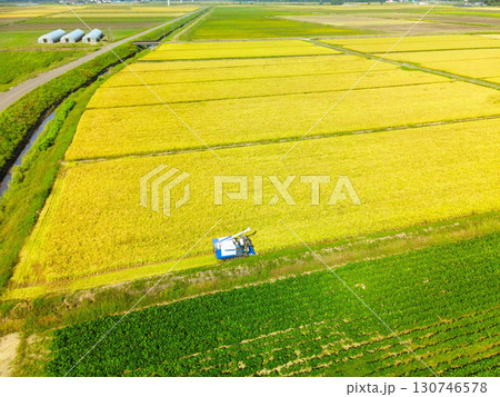 初秋の北海道江差町で稲刈りの風景を空撮 130746578