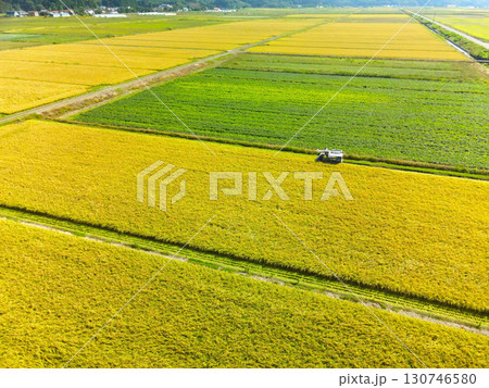 初秋の北海道江差町で稲刈りの風景を空撮 初秋の北海道江差町で稲刈りの風景を空撮 130746580