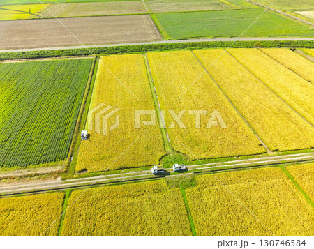 初秋の北海道江差町で稲刈りの風景を空撮 130746584
