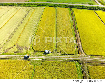初秋の北海道江差町で稲刈りの風景を空撮 130746593