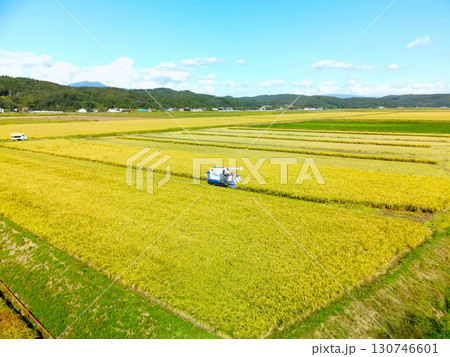 初秋の北海道江差町で稲刈りの風景を空撮 130746601