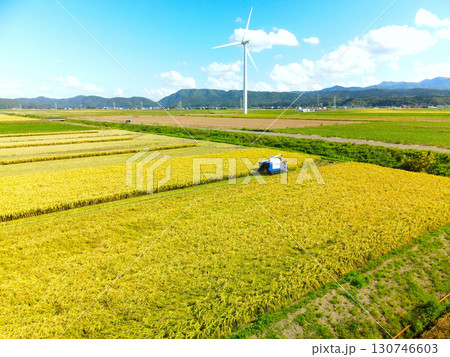 初秋の北海道江差町で稲刈りの風景を空撮 130746603