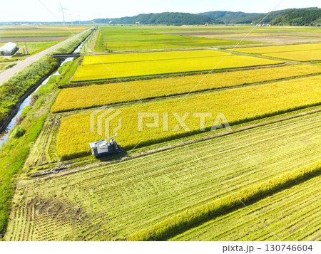 初秋の北海道江差町で稲刈りの風景を空撮 130746604