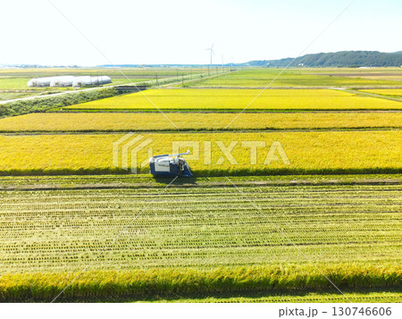 初秋の北海道江差町で稲刈りの風景を空撮 130746606