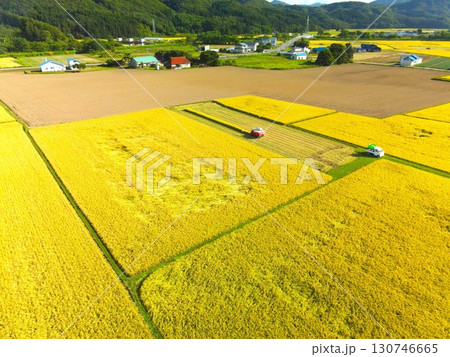 初秋の北海道厚沢部町で稲刈りの風景を空撮 130746665