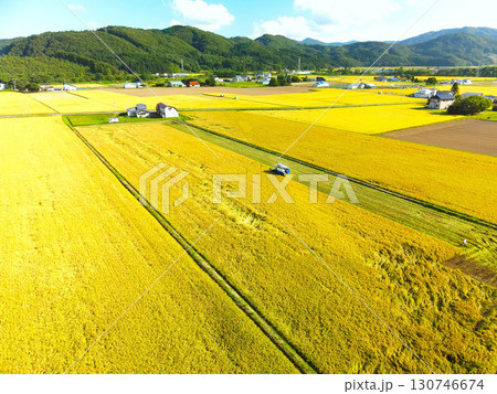 初秋の北海道厚沢部町で稲刈りの風景を空撮 130746674
