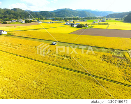 初秋の北海道厚沢部町で稲刈りの風景を空撮 初秋の北海道厚沢部町で稲刈りの風景を空撮 130746675