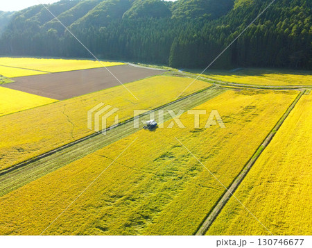 初秋の北海道厚沢部町で稲刈りの風景を空撮 130746677
