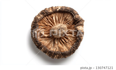 白い背景で撮影された乾燥シイタケのひだの部分、和食のうまみ成分を表現 130747121