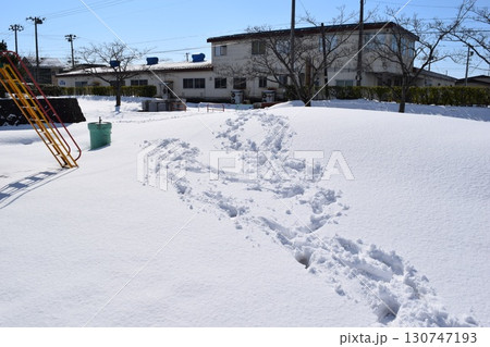 東北地方の雪景色 山形県庄内 東北地方の雪景色 山形県庄内 130747193