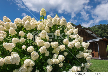 中之条花楽の里　群馬県 130747198