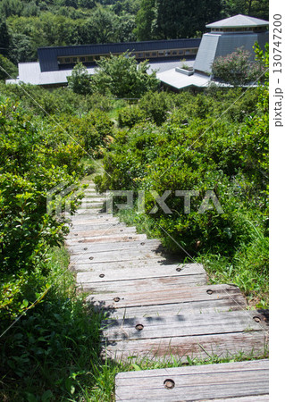 中之条花楽の里 群馬県 中之条花楽の里 群馬県 130747200