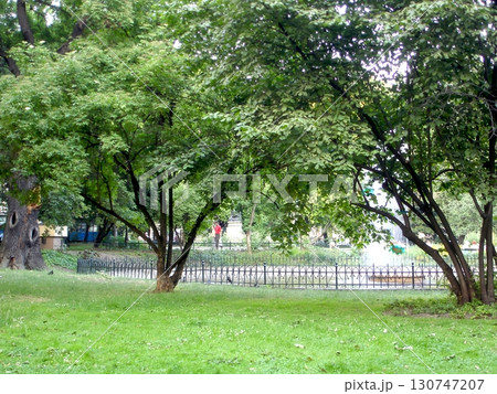 Serene Green Space in Krakows Parkland Inviting Leisurely Strolls and Peaceful Reflection Serene Green Space in Krakows Parkland Inviting Leisurely Strolls and Peaceful Reflection 130747207