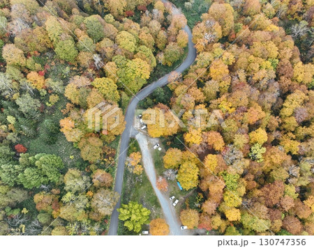 【空撮・照葉峡】 紅葉する森 【空撮・照葉峡】 紅葉する森 130747356