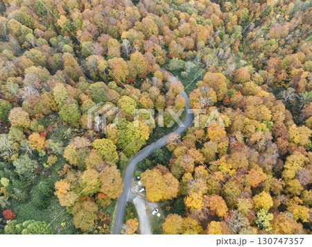 【空撮・照葉峡】　紅葉する森 130747357