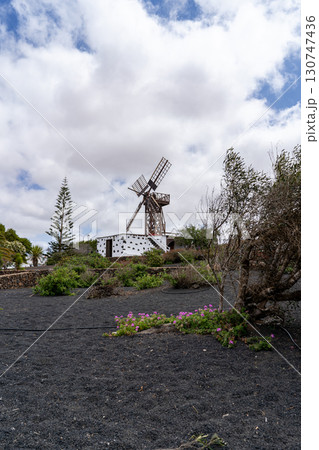 A rustic windmill stands prominently against a partly cloudy sky in Teguise, Lanzarote, surrounded by lush vegetation and black volcanic soil. 130747436