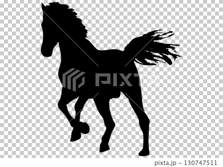Silhouette of a running horse 130747511