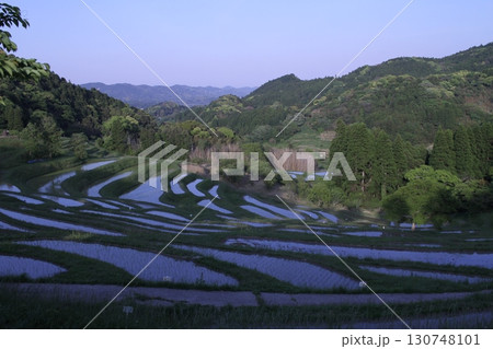 大山千枚田・夕刻の水面に映るコバルトの空 130748101
