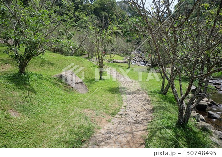 path in the garden 130748495