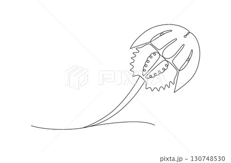 Marine armored horseshoe crab, continuous drawing in one line, minimalism, abstraction, xiphosurida, biological oceanography, one line. Editable vector contour 130748530