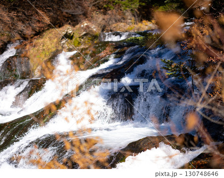 龍頭の滝 130748646