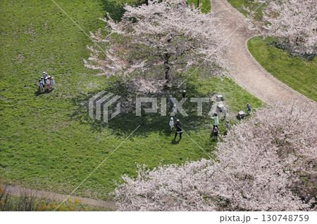 満開の桜の下で遊ぶ園児たち。ワイワイと心地よい子供の声が嬉しそう 満開の桜の下で遊ぶ園児たち。ワイワイと心地よい子供の声が嬉しそう 130748759