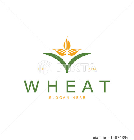 Agriculture Wheat logo template vector icon design 130748963