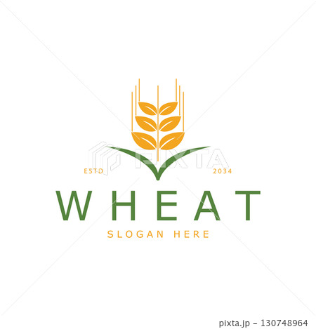 Agriculture Wheat logo template vector icon design 130748964