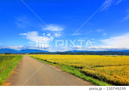 収穫の秋田園風景 収穫の秋田園風景 130749299