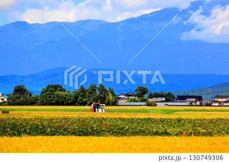 収穫の秋田園風景 収穫の秋田園風景 130749306