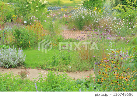 池田町ハーブステーション 花とハーブのガーデン 池田町ハーブステーション 花とハーブのガーデン 130749586