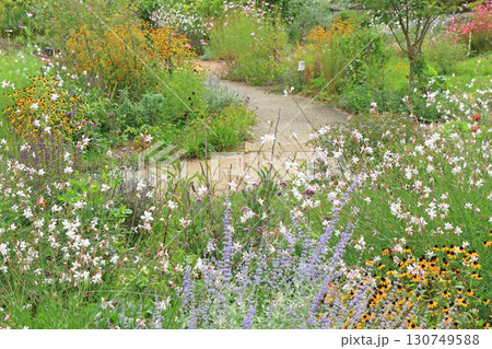 池田町ハーブステーション　花とハーブのガーデン 130749588