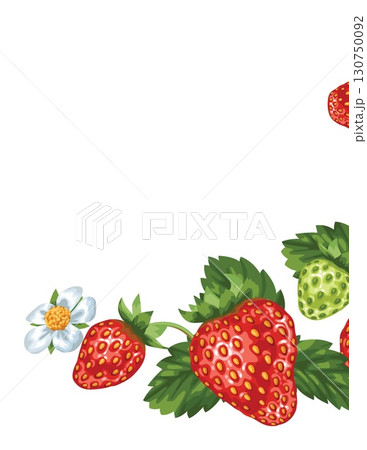 delicious strawberries with green leaves and white flowers on a white background delicious strawberries with green leaves and white flowers on a white background 130750092