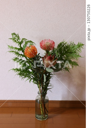 ピンクッションとプロテア ピンクッションとプロテア 130750226