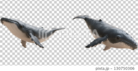リアルなクジラ 130750306