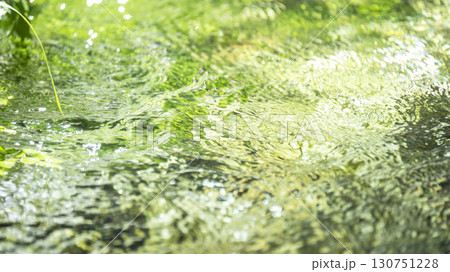 森の新緑・清流・エコイメージ 地蔵滝の泉 森の新緑・清流・エコイメージ 地蔵滝の泉 130751228