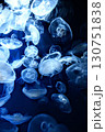 青く光るクラゲ 130751838