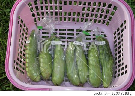 エホバク、韓国カボチャ 130751936