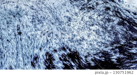 黒い背景に雪の結晶 黒い背景に雪の結晶 130751962