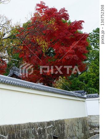 紅葉　寺 130752308