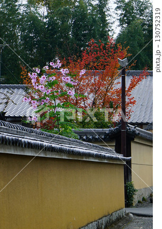 紅葉　寺 130752319