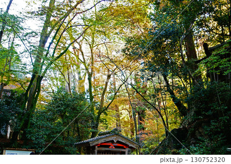 紅葉　寺 130752320