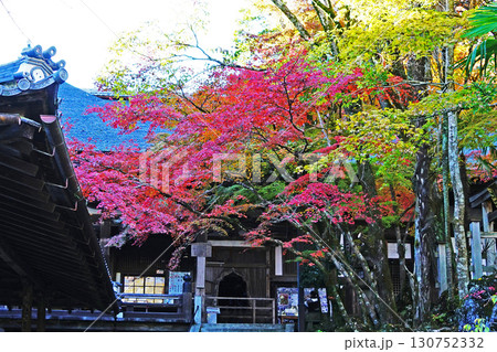 紅葉　寺 130752332