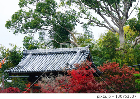 紅葉　寺 130752337