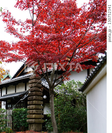 紅葉　寺 130752341